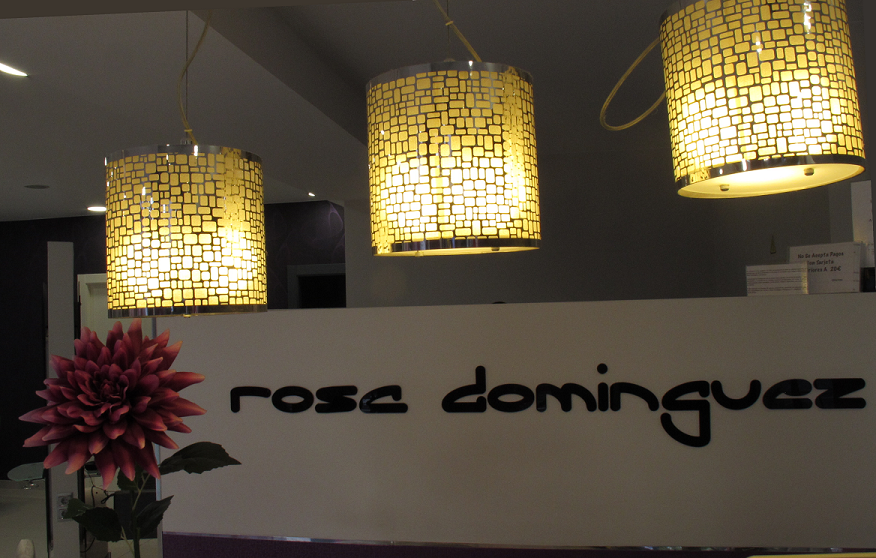 portada salon rosa dominguez